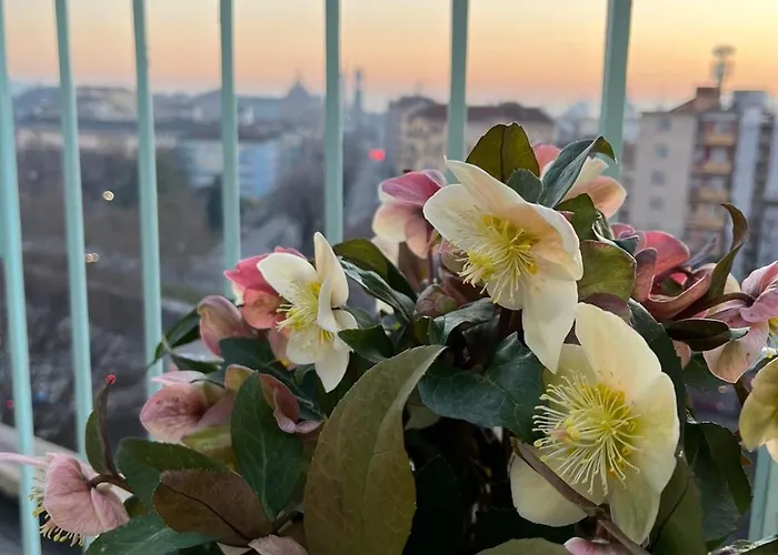 Attico Ellen Terrazza Con Vista Turín